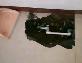 龙安卫生间测漏水多少钱
